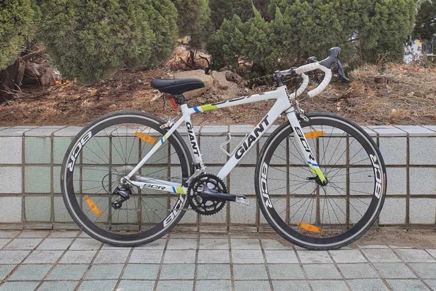 자이언트 자전거 매장