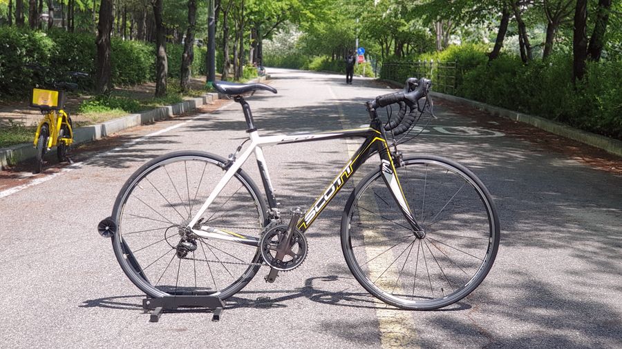 177 자전거 사이즈 55