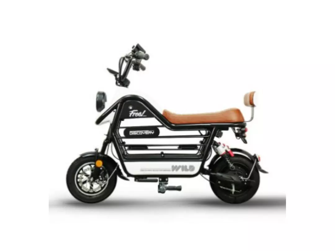 레이윙 디스커버리 와일드 S20 48V 700W