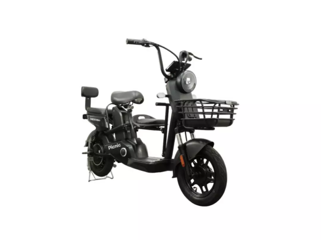 레이윙 디스커버리 피크닉 S30 48V 700W