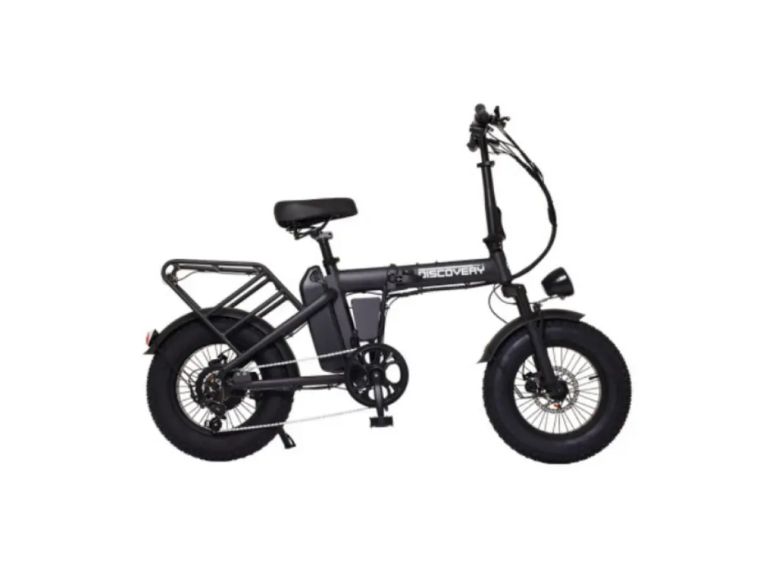 레이윙 디스커버리 모델 X 48V 500W
