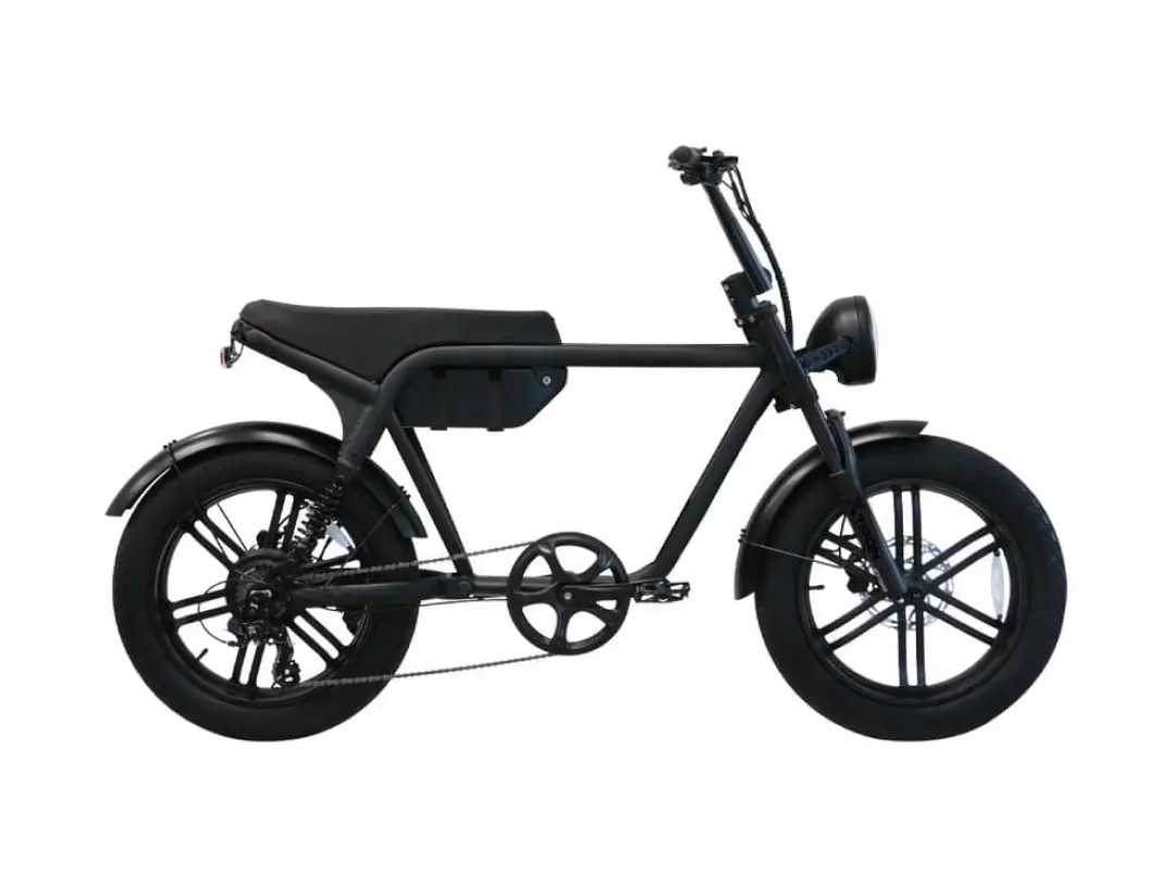 퀄리 엑스트론 48V 500W