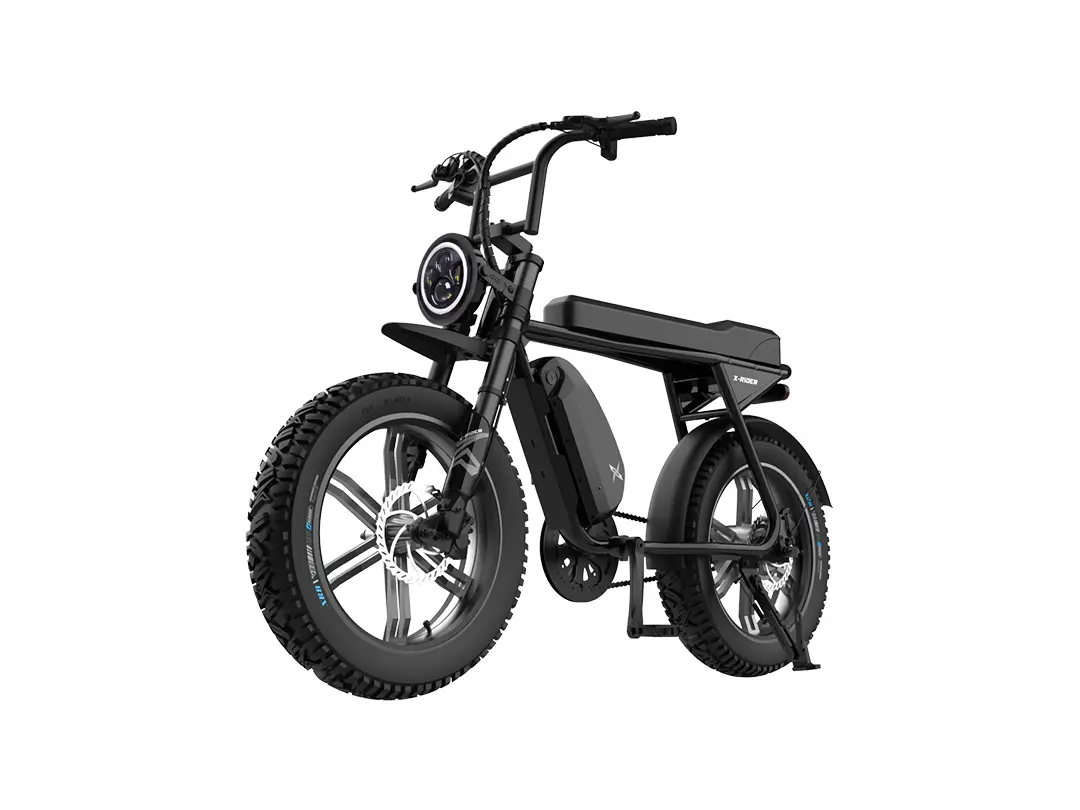 엑스라이더 X100 맥스 48V 500W