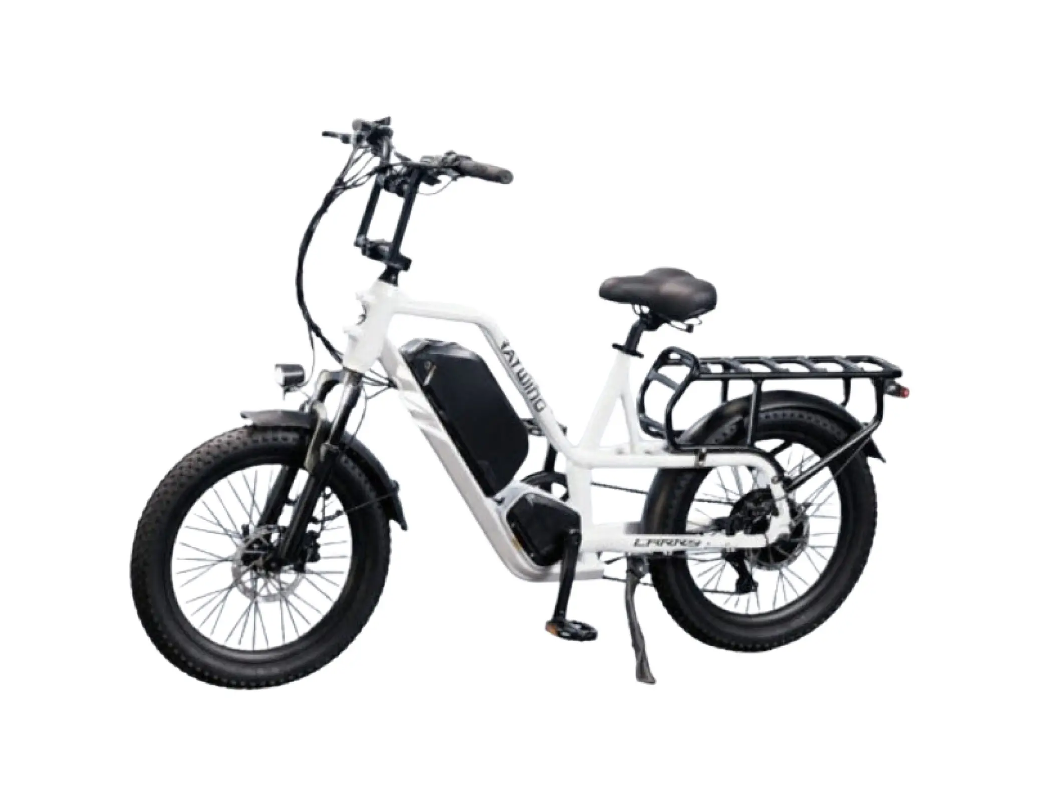 레이윙 캐리 48V 500W
