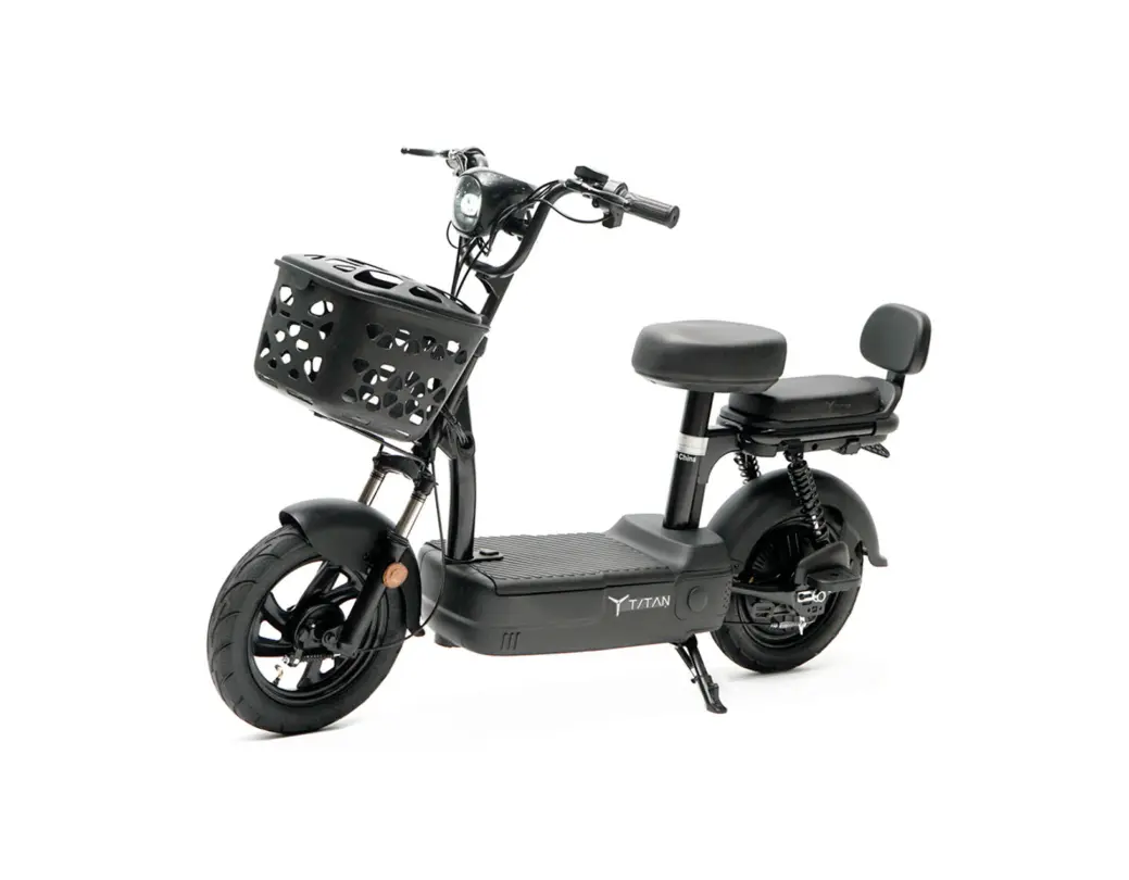 타이탄100 프로 48V 500W