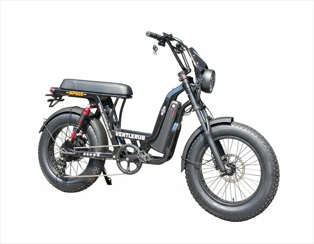 벤틀러스 MP500 48V 500W