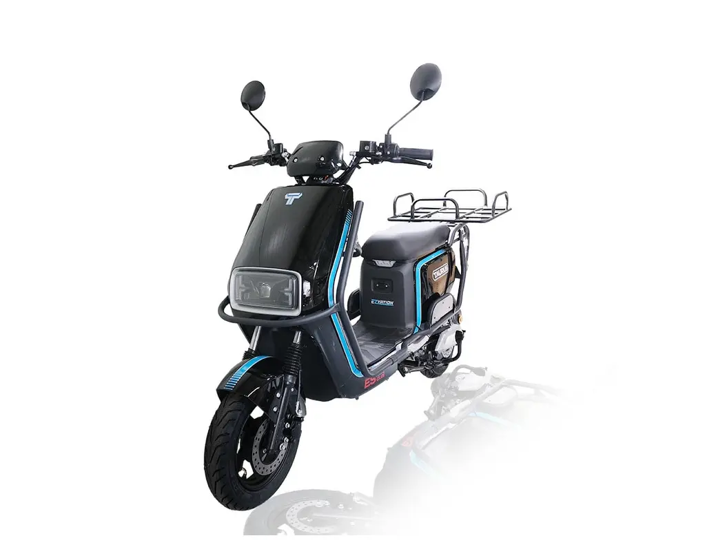 이지베이션 타우러스 ES 듀얼 60V 2000W