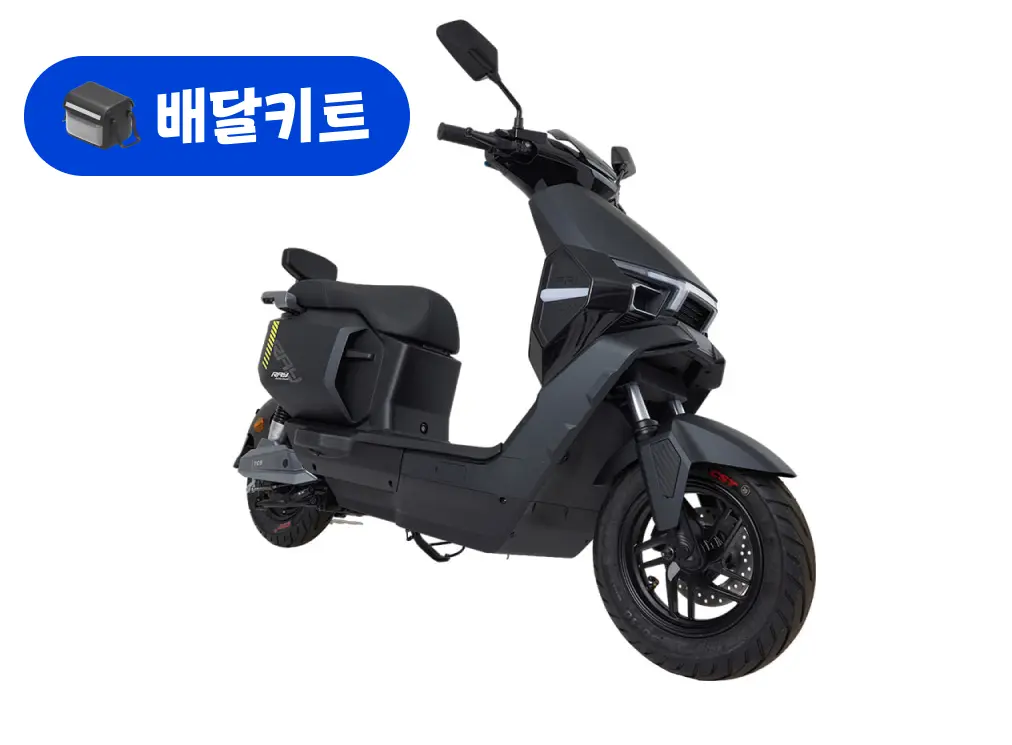 레이윙 레이 60V 1500W+배달 키트