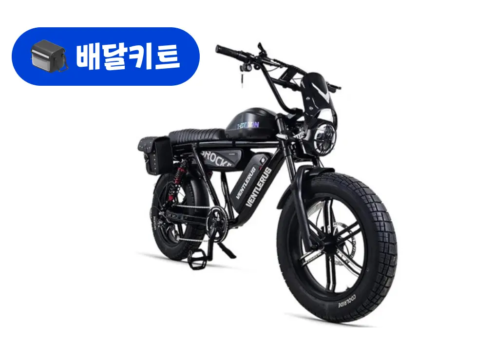 벤틀러스 XT20-RSP 48V 500W+배달 키트