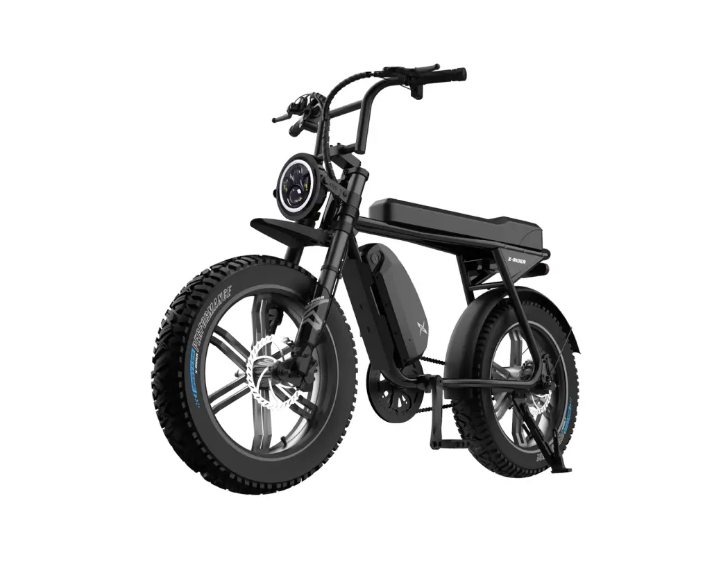 엑스라이더 X100 맥스 SL 48V 500W