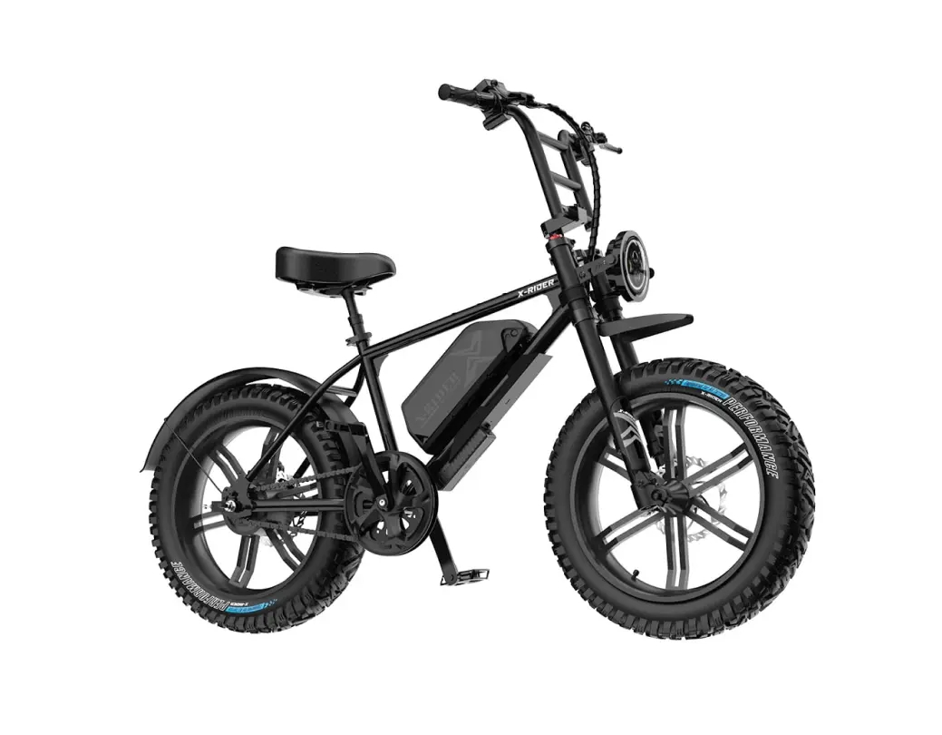 엑스라이더 X50 FS 48V 500W