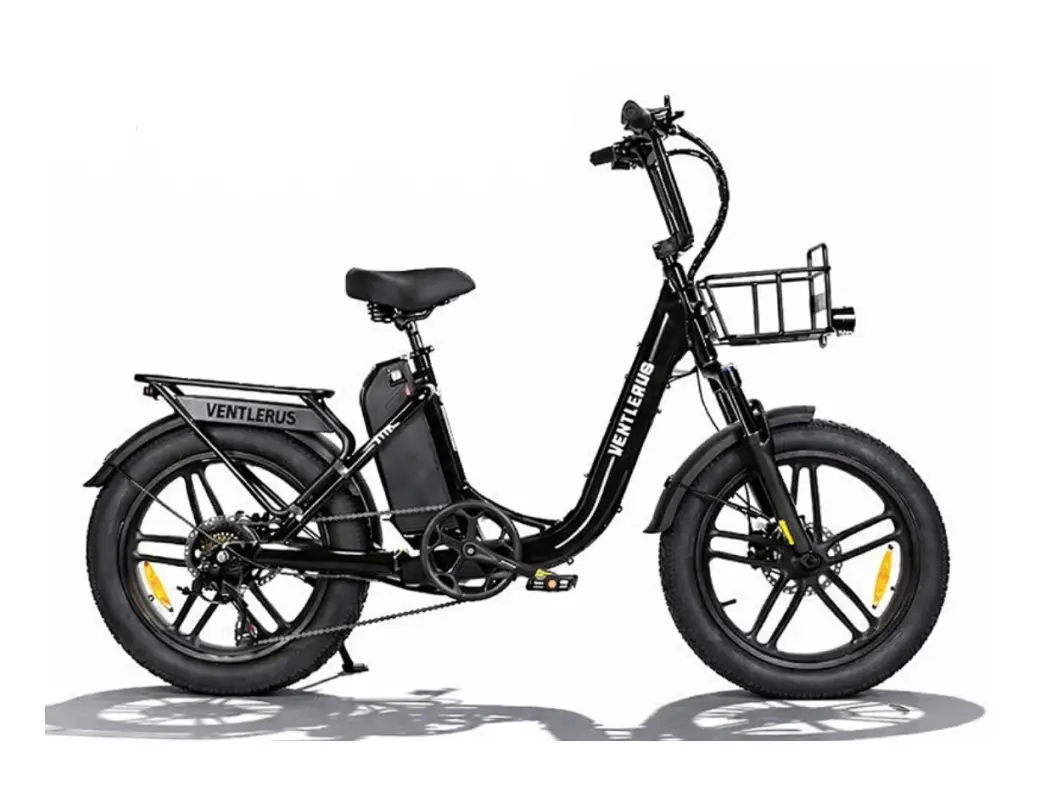 벤틀러스 XT10 프로 48V 500W