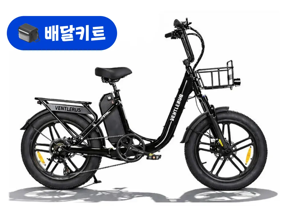 벤틀러스 XT10 프로 48V 500W+배달 키트
