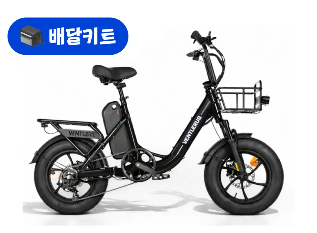 벤틀러스 XT10 미니 48V 500W+배달 키트