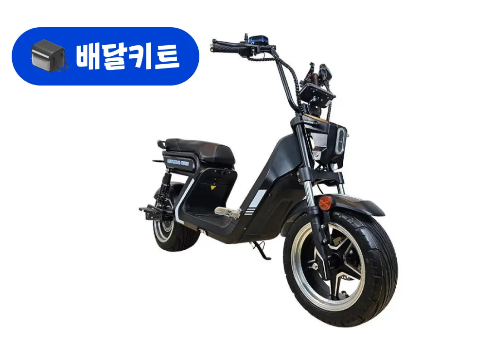 벤틀러스 FAT20 60V 2000W+배달 키트