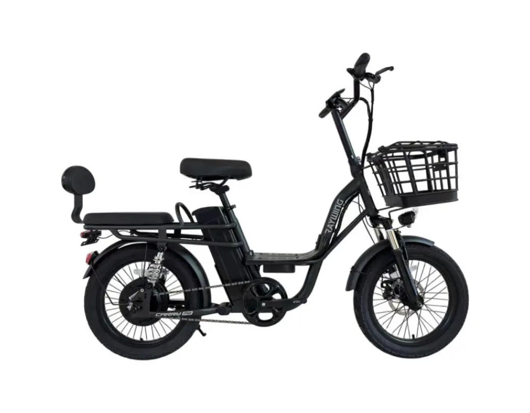 레이윙 캐리미 48V 500W