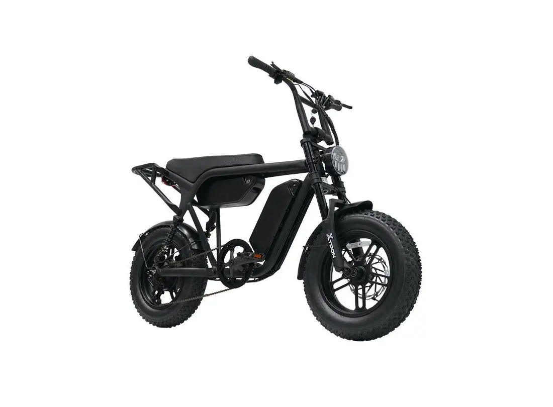 퀄리 엑스트론 미니 48V 500W
