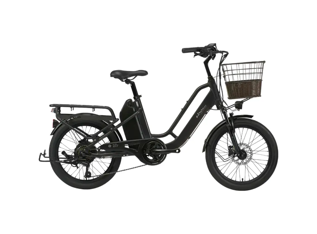 알톤 알마타 207 48V 500W