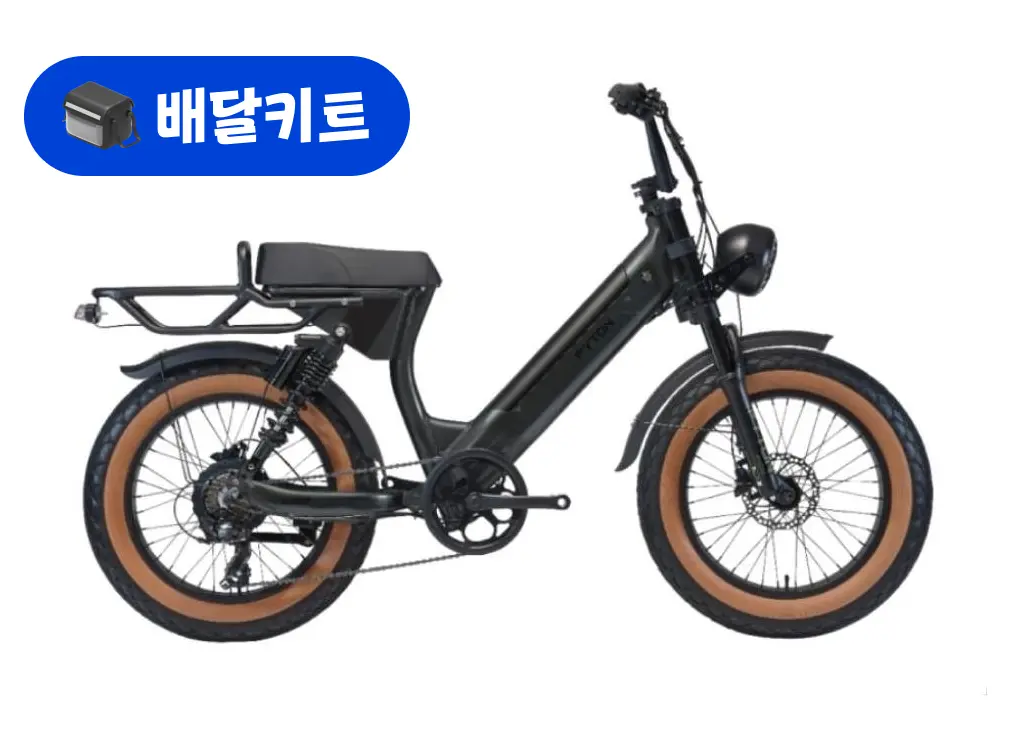 알톤 파이톤 20 48V 500W+배달 키트