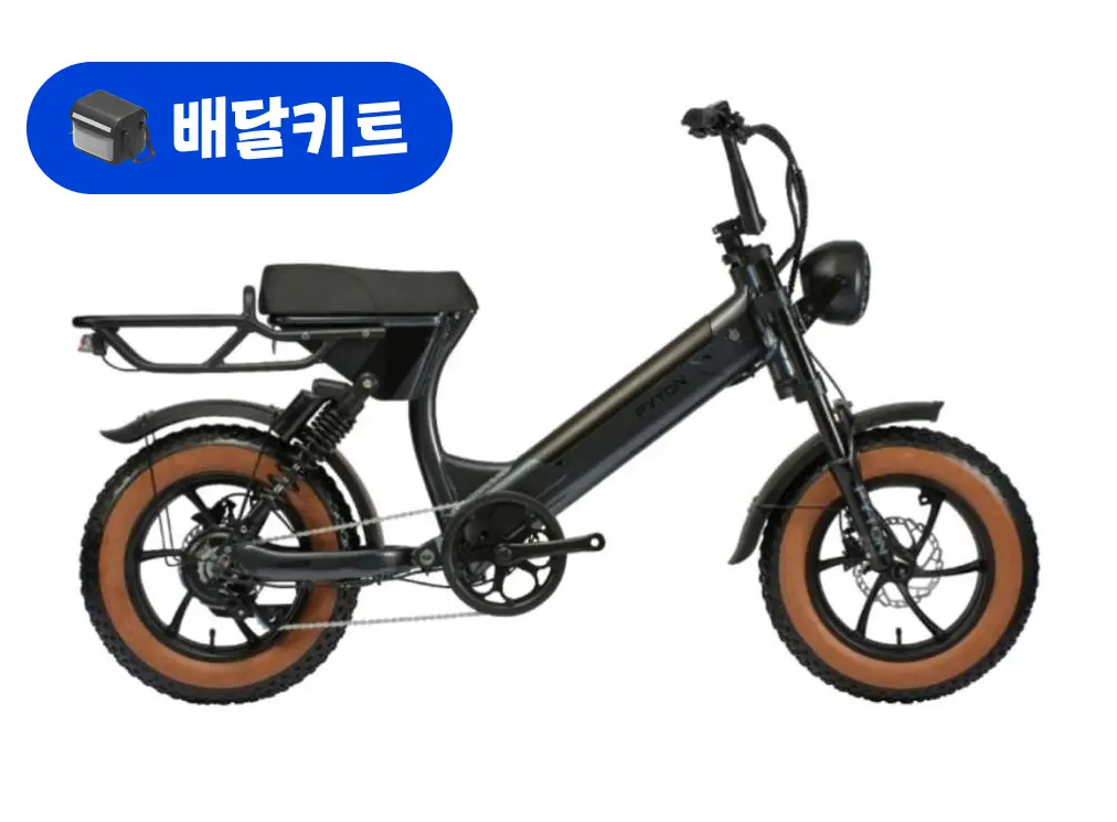 알톤 파이톤 16 점프 48V 500W+배달 키트