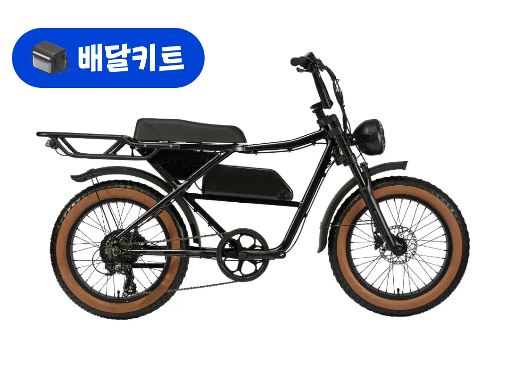 알톤 파이톤 20 에디션 48V 500W+배달 키트