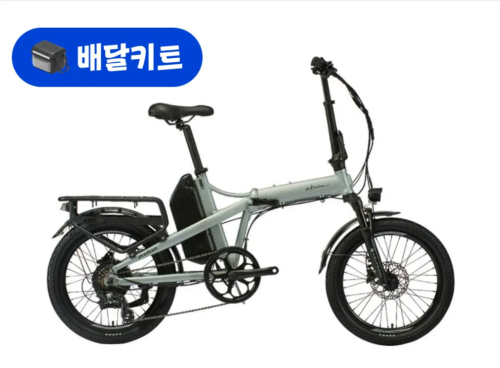 알톤 알마타 FD 48V 500W+배달 키트