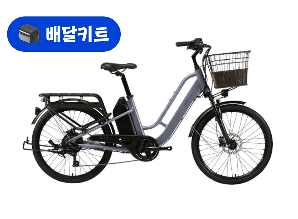 알톤 알마타 247 48V 500W+배달 키트