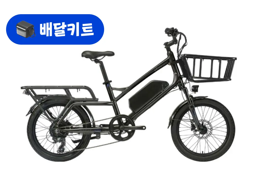 알톤 알마타 FB 48V 500W+배달 키트