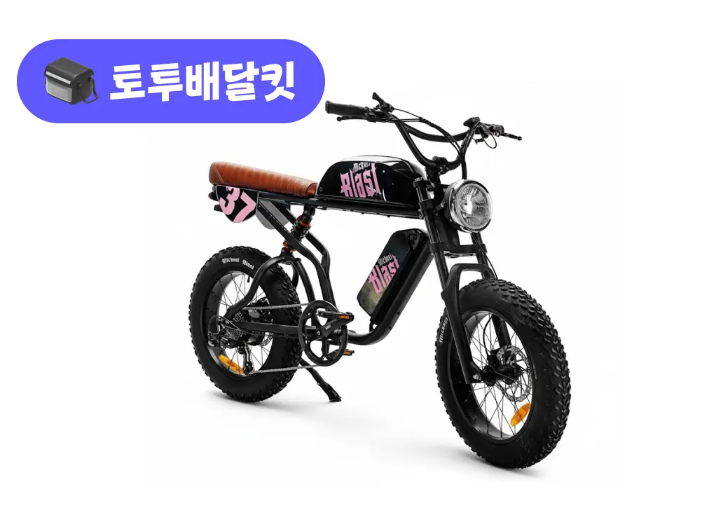 마이클블라스트 E30 48V 500W 토투 배달 키트