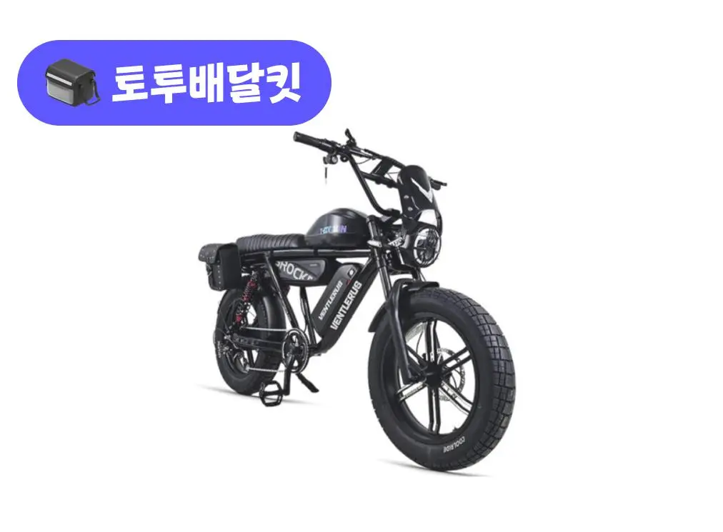 벤틀러스 XT20-RSP 48V 500W 토투 배달 키트