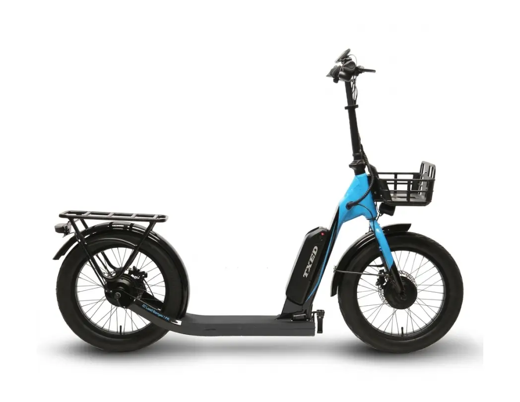 이스타 엘랜드램블러아이 48V 500W