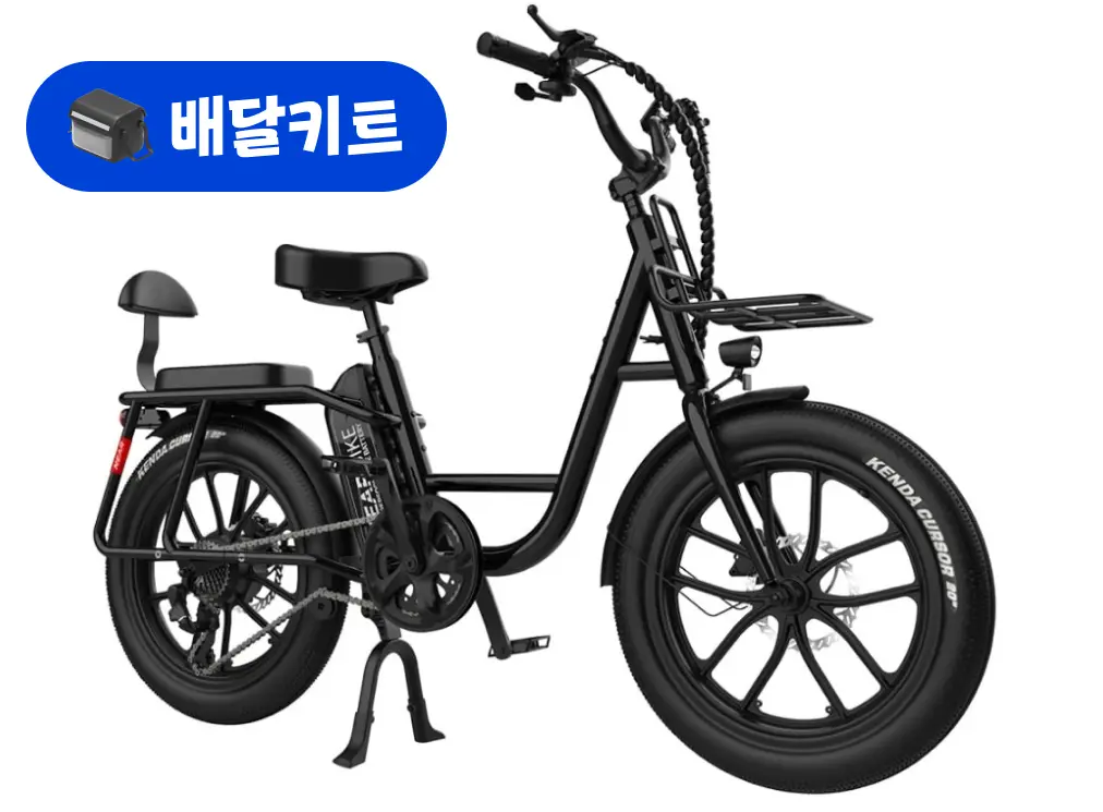 니어바이크 카고 48V 500W+배달 키트