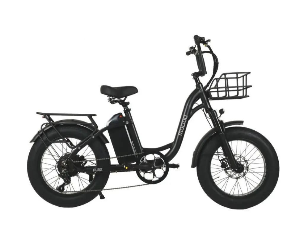 모두 부릉이 플렉스 48V 500W