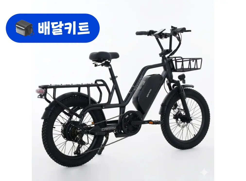 레이윙 캐리 48V 500W 배달 키트
