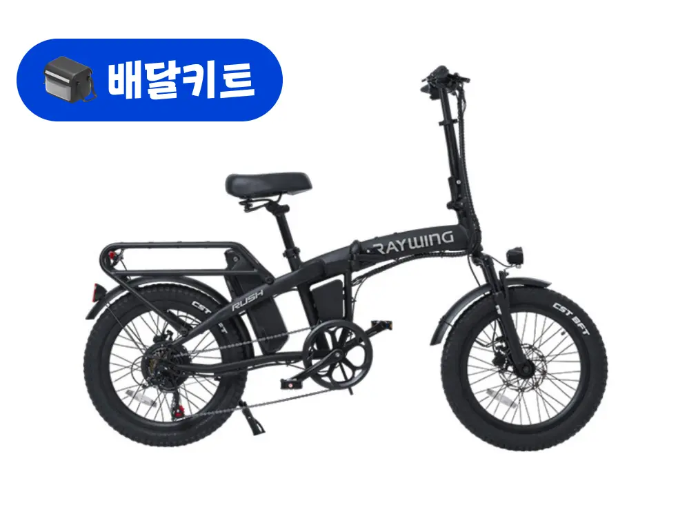 레이윙 러시 48V 500W 배달 키트