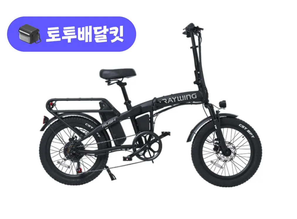 레이윙 러시 48V 500W 토투 배달 키트
