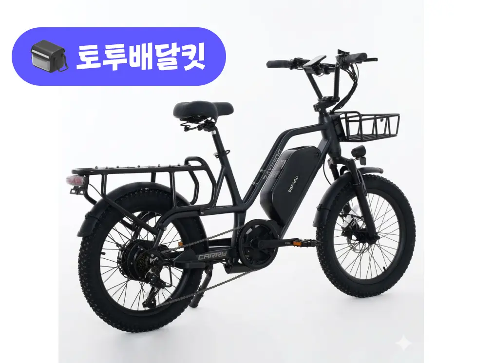 레이윙 캐리 48V 500W 토투 배달 키트