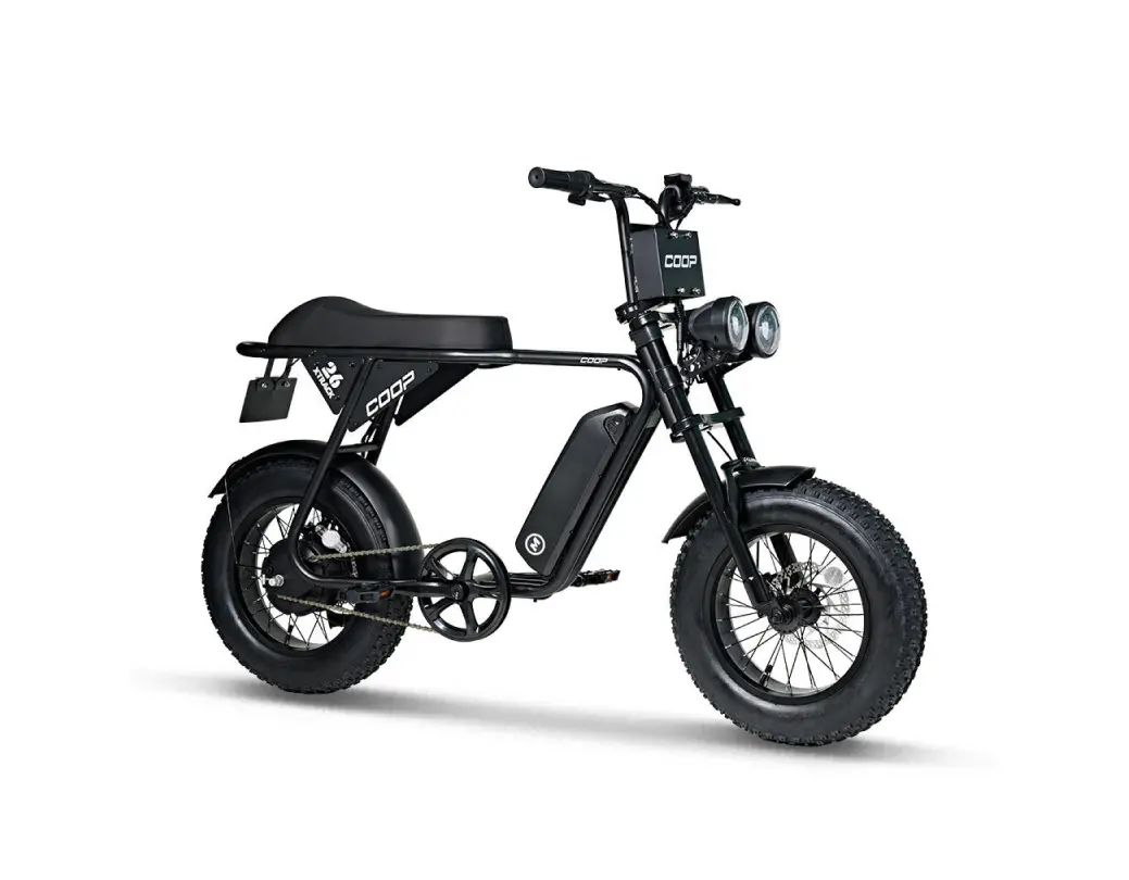 AU테크 엑스트랙 몬스터 쿱 STD 48V 500W