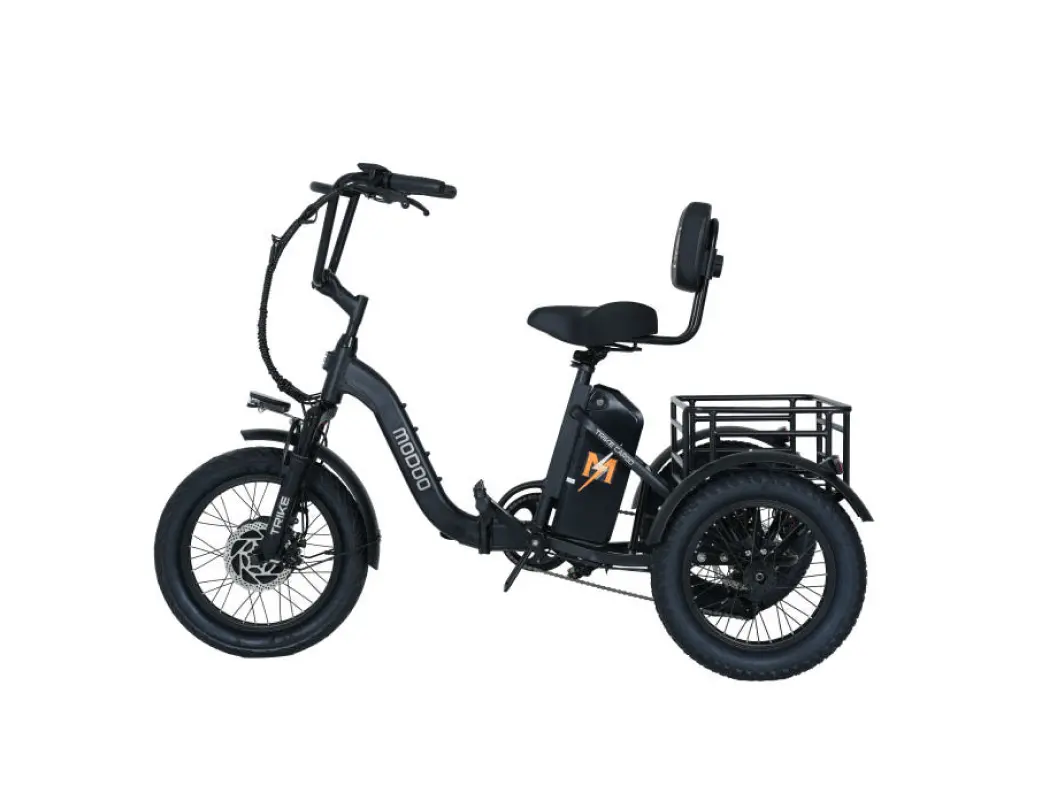 모두 부릉이 트라이크 카고 48V 500W