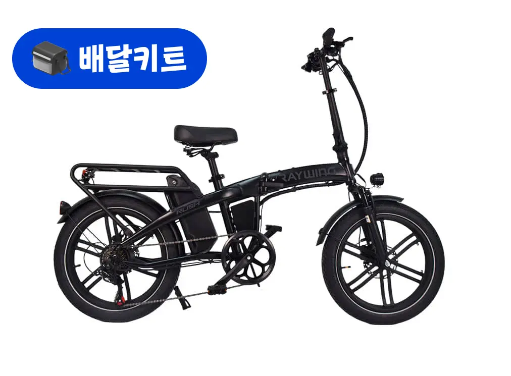 레이윙 러시 48V 500W+배달 키트