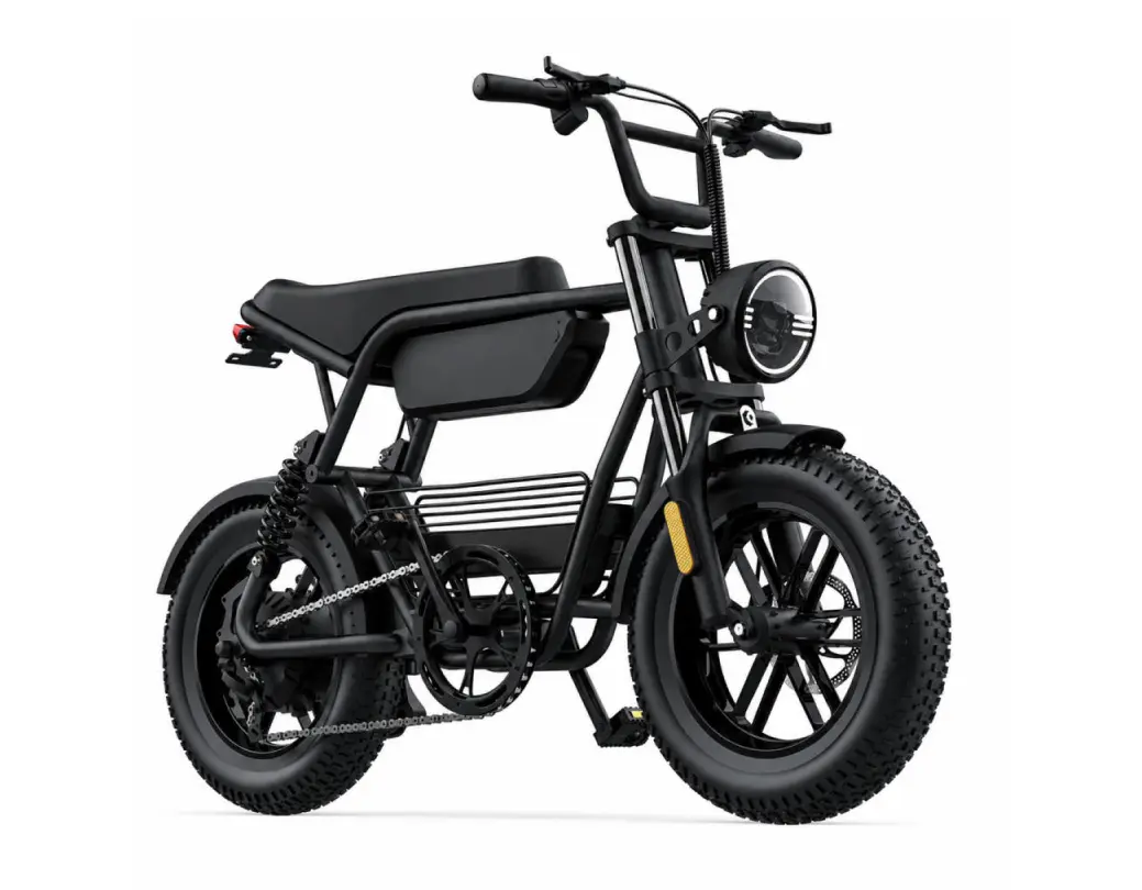벤틀러스 XT16 FS 48V 500W