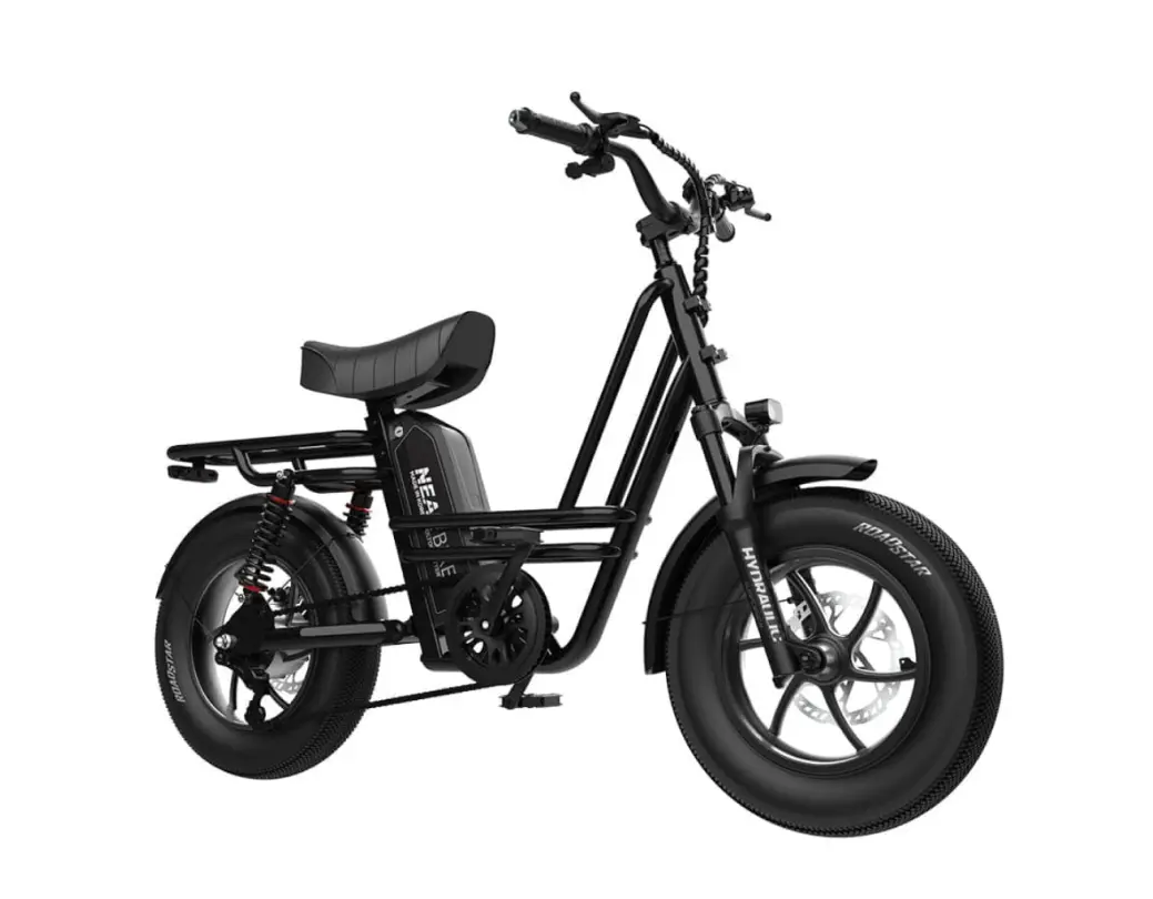 니어바이크 레트로 투어 48V 500W